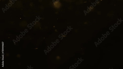 Gold Particles Moving Background. fast energy flying wave line with flash lights. Particle from below. Particle gold dust flickering on black background. Abstract Footage background for text. photo