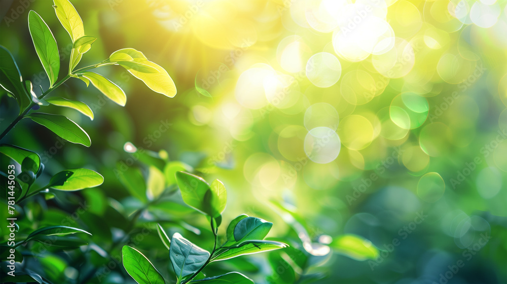 Green Leaves and Sunny Bokeh Natural Wallpaper. Springtime and Summer Background with Copy Space. Green Leaves and Sunny Bokeh Natural Wallpaper. Springtime and Summer Background with Copy Space.