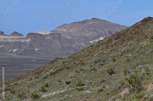 Marble Mountains in spring Mojave desert.