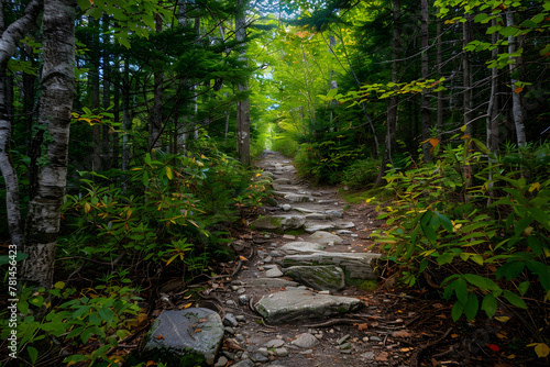 The Path Less Traveled: An Inspiring View of Serene Hiking Trails in New Hampshire