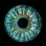 Close-up of the iris of a blue human eye against black background