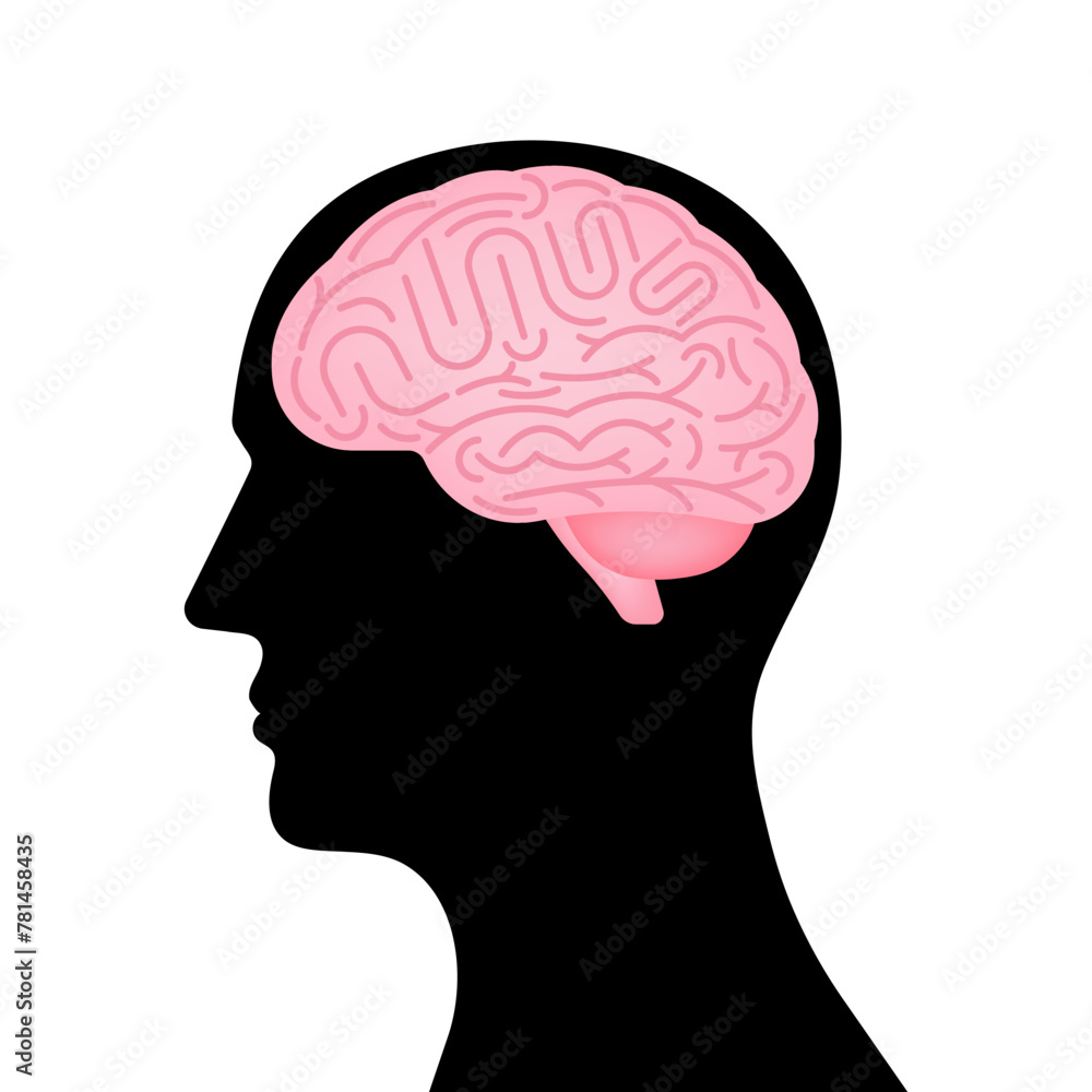 Obraz premium Brain. Head with Human Brain. Vector Illustration Isolated on White Background. 