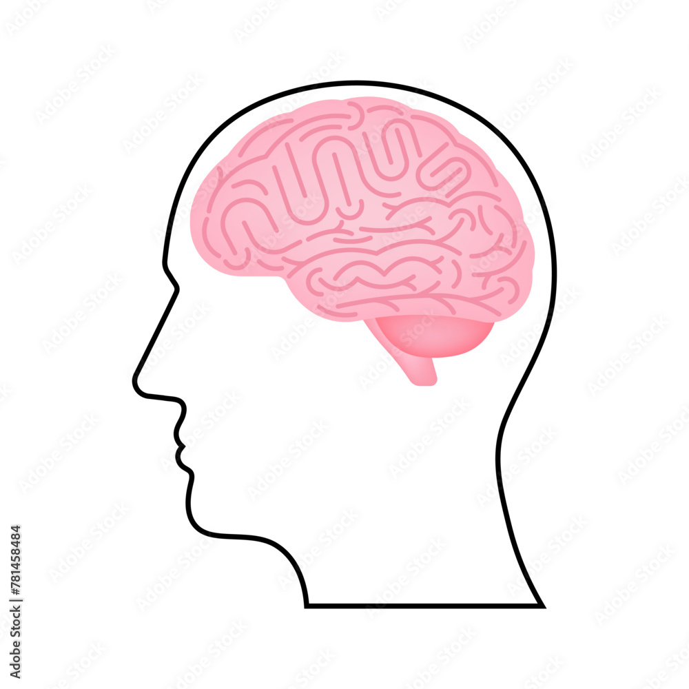 Brain. Head with Human Brain. Vector Illustration Isolated on White Background. Brain. Head with Human Brain. Vector Illustration Isolated on White Background.