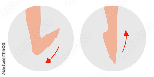 Exercise to strengthen foot