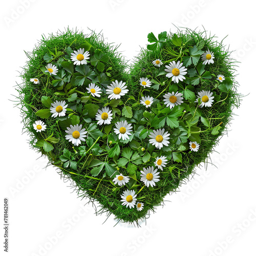 heart made of daisies isolated against transparent background