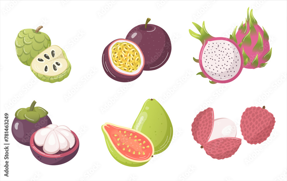 Fototapeta premium fruit set on transparent background