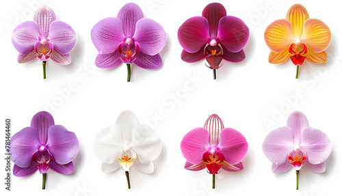 assorted colored orchid emojis