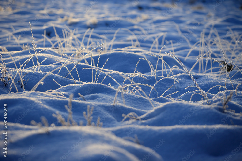 Gule-/Stavikmyrane nature reserve in winter (More og Romsdal, Norway).