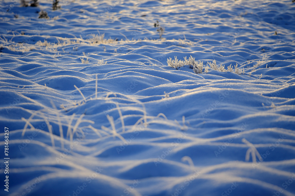 Gule-/Stavikmyrane nature reserve in winter (More og Romsdal, Norway).
