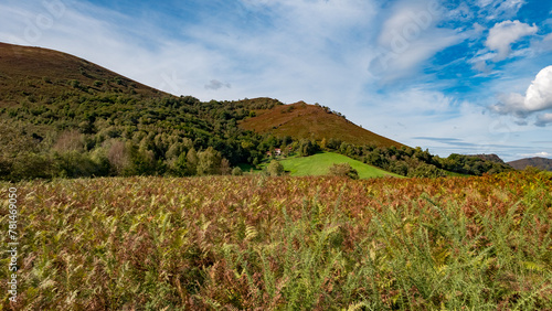 Atlantic Pyrenees. Rural landscape in Navarre photo