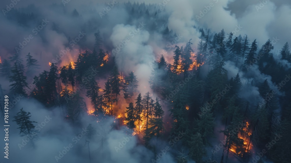 Forest Blaze at Dusk: Conflagration Amidst the Trees - obrazy, fototapety, plakaty 