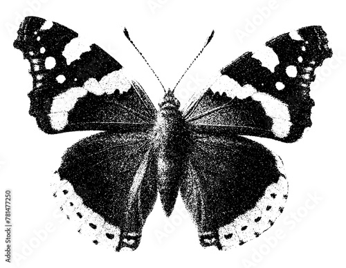 red admiral butterfly top view isolated retro photocopy effect black white collage element trendy grunge stippling grain dots texture for mixed media design