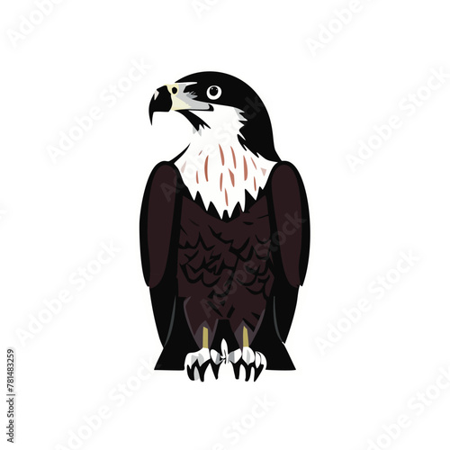 Eagle heads black and white vector, the Head of an eagle in the form of a stylized tattoo. Eagle Mascot Vector Illustration, eagle silhouette, logo, icon, design vector illustration for graphic design