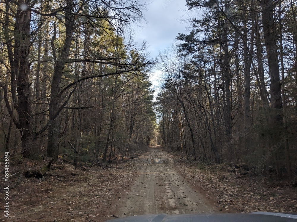 Obraz premium Late Winter / Early Spring in the Northeast USA