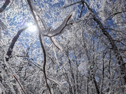 Late Winter / Early Spring in the Northeast USA