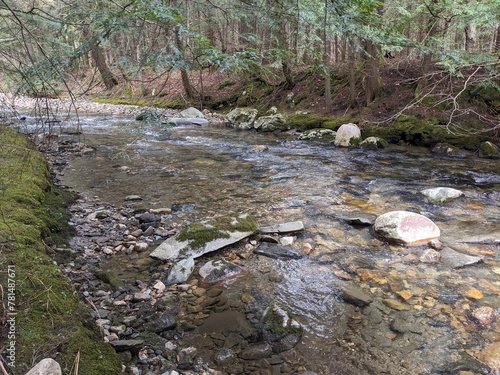 Late Winter / Early Spring in the Northeast USA