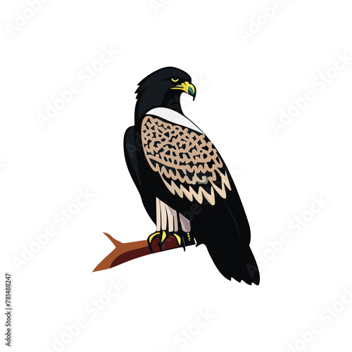 Eagle heads black and white vector, the Head of an eagle in the form of a stylized tattoo. Eagle Mascot Vector Illustration, eagle silhouette, logo, icon, design vector illustration for graphic design
