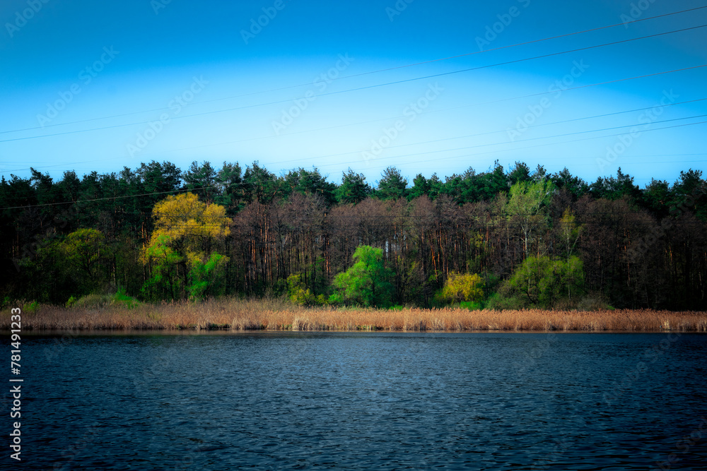 Blue lake and beautiful deciduous forest on the far shore Blue lake and beautiful deciduous forest on the far shore