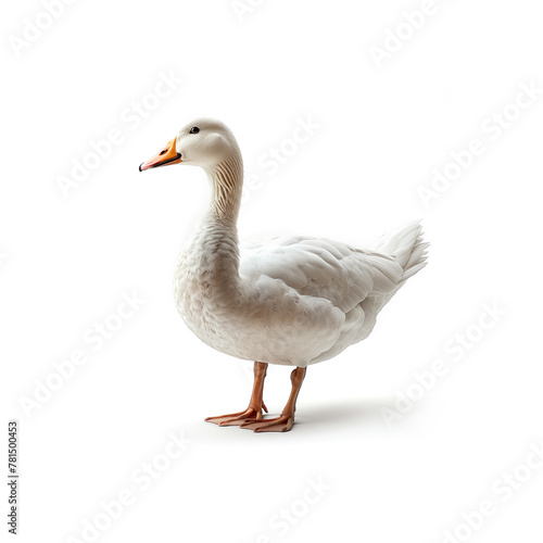 White Duck Standing on Top of White Floor. Generative AI