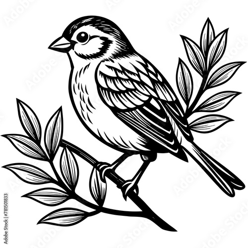  Bird vector illustration. © Abul Kalam