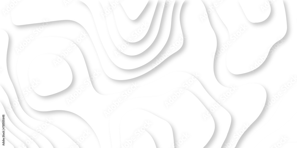 Modern black and white abstract luxury papercut background. vector minimal light landscape wave element curve graphic papercut design. Modern black and white abstract luxury papercut background. vector minimal light landscape wave element curve graphic papercut design.