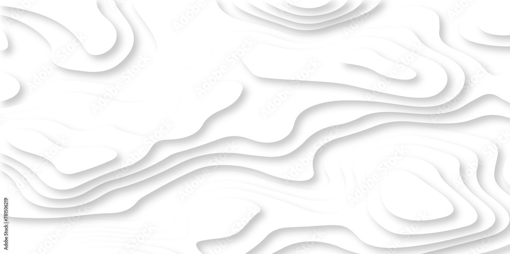 Modern black and white abstract luxury papercut background. vector minimal light landscape wave element curve graphic papercut design.
Modern black and white abstract luxury papercut background. vector minimal light landscape wave element curve graphic papercut design.