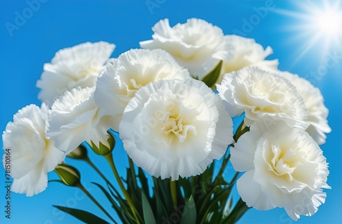 Mother's Day. Holiday. A postcard for parents. White carnations on a blue sky background. 9th May. Victory Day. soft focus.