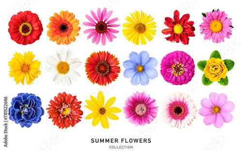 Beautiful colorful summer flowers collection isolated on white background.