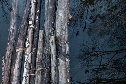 Kładka, mostek nad wodą z rzuconych drzew, odbicia drzew w wodzie
