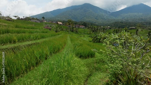 Wallpaper Mural Aerial: Jatiluwih Rice Terraces in Bali, Indonesia. Torontodigital.ca