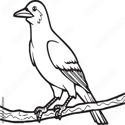 Crow coloring pages. Crow bird outline vector for coloring book