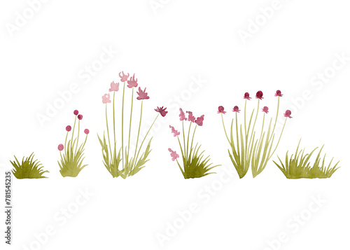 Botanical art. Isolated illustration element. Modern collection for decor design. Silhouettes of wildflowers and blades of grass in Watercolor © ElenVilk