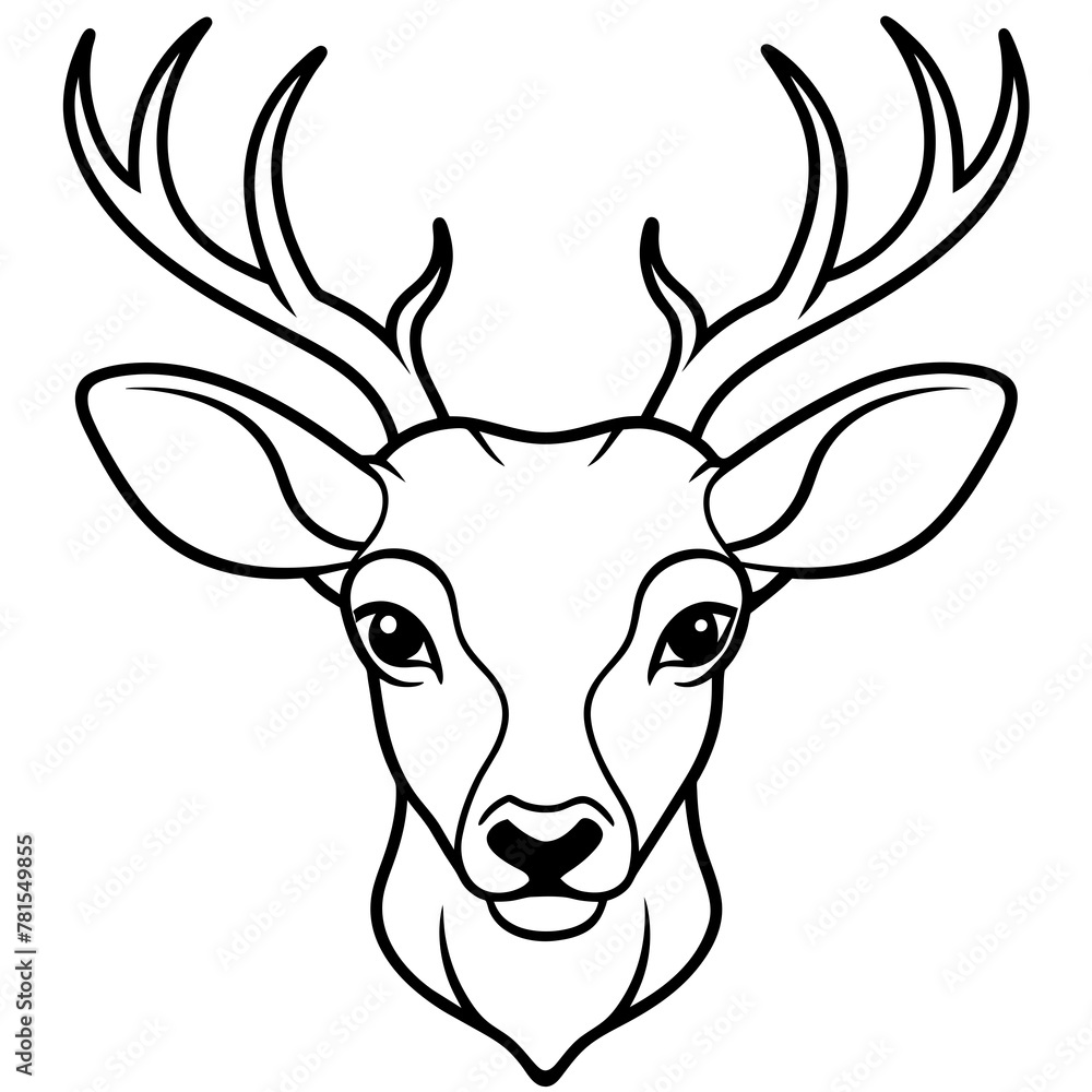 Fototapeta premium head of deer
