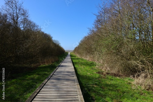 wooden walkway to the sea with shadow on one side and sun on the other