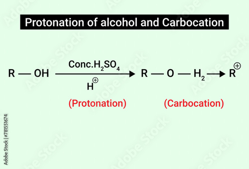 Chemical Structure of Protonation of alcohol and Carbocation photo