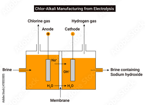 Chlor Alkali Manufacturing from Electrolysis