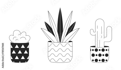 Exotic houseplants in flowerpots black and white 2D line cartoon objects set. Home garden plants growing isolated vector outline items collection. Interior design monochromatic flat spot illustrations © The img