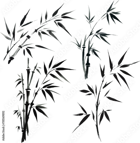 set of bamboo branches drawn in ink in vector
