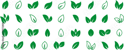 Green leaf vector icons. Eco leaf logo. Simple linear leaves of trees and plants. Elements for eco friendly and bio logo vegan. Green leaves collection. Ecology leaf symbol.