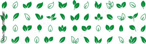 Green leaf vector icons. Eco leaf logo. Simple linear leaves of trees and plants. Elements for eco friendly and bio logo,vegan. Green leaves collection. Ecology leaf symbol.