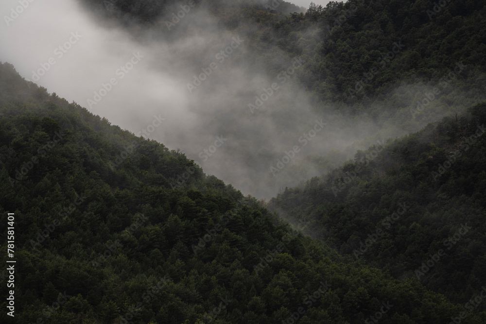 Fototapeta premium fog in the mountains