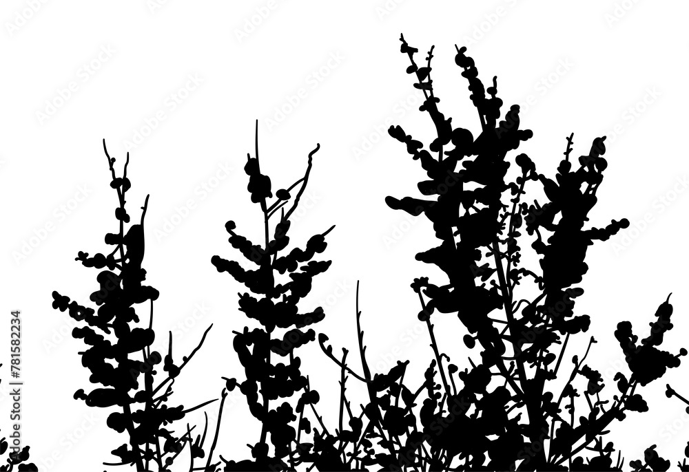Obraz premium silueta arbol, arbusto, hojas, ramas, otoño, ilustracion, bosques, naturaleza, sequia, atmosfera