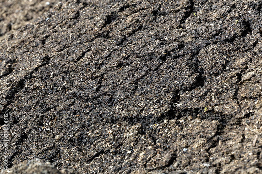 Dry soil plain texture background