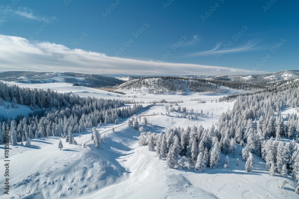 Winter Landscape with Snowy Trees and Clear Blue Skies