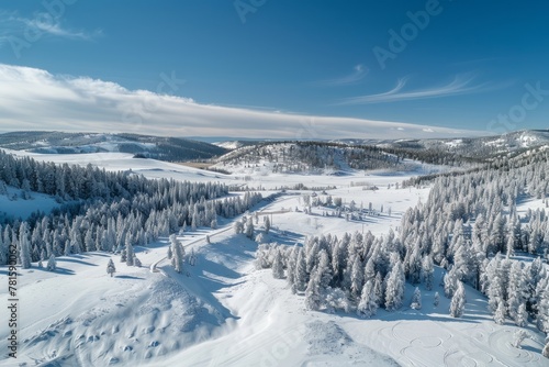 Winter Landscape with Snowy Trees and Clear Blue Skies