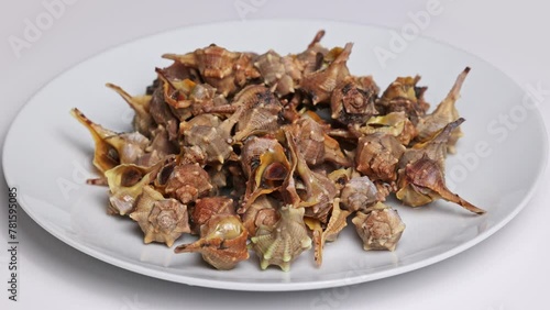 Canailli sea snails rotating on a white plate. Bolinus brandaris as a ready to eat aperitif rotating on a white plate. photo