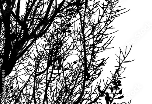 silueta arbol, arbusto, hojas, ramas, otoño, ilustracion, bosques, naturaleza, sequia, atmosfera