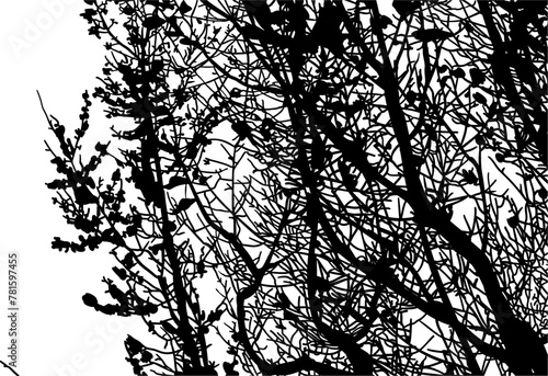 silueta arbol, arbusto, hojas, ramas, otoño, ilustracion, bosques, naturaleza, sequia, atmosfera