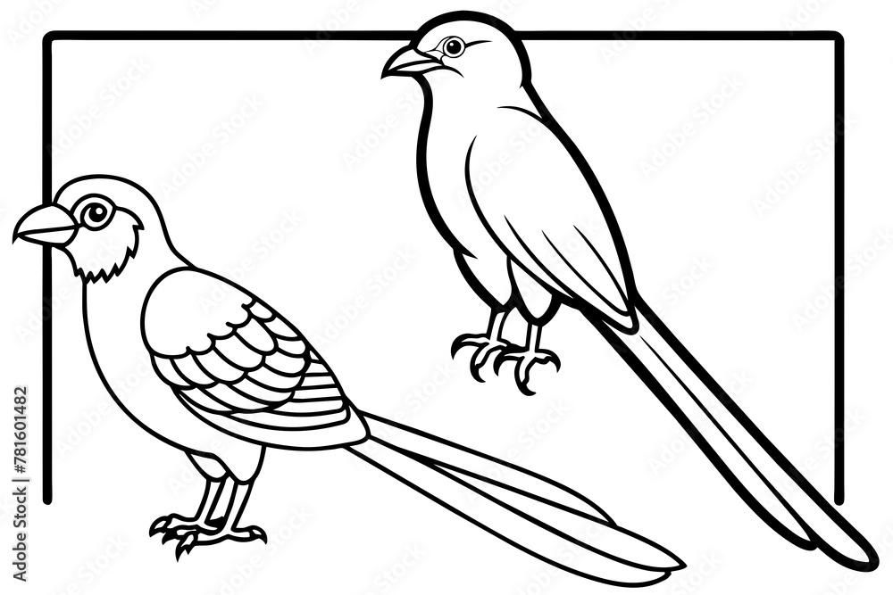 Obraz premium quetzal-trogon-motmot--out-side-of-black-border- vector illustration 