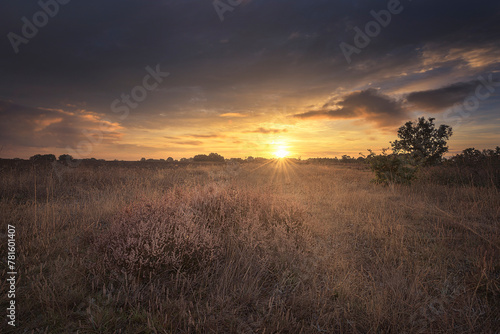 Sunrise with a sky with clouds and clear and warm colors over a field covered with heather in the hermitage of the Virgen del Rabanillo, near Saldaña, Palencia © patxi